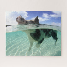 Happy Pig Schwimmen mit dem Fish Jigsaw Puzzle