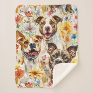 Happy Pitbull Hunde, Pit Bulls Sherpadecke
