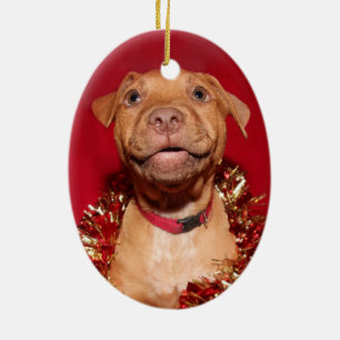 Happy Pitbulle Welpen Weihnachten Keramik Ornament
