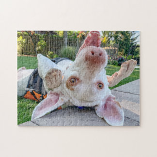 Happy Pointer Puzzle