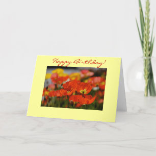 Happy Poppy Birthday Card Karte