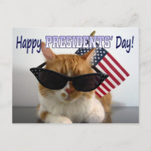 Happy President' Day Cool Cat with Flag Postcard Postkarte