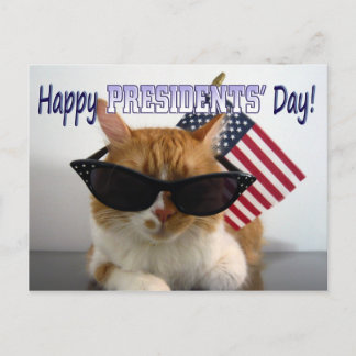 Happy President' Day Cool Cat with Flag Postcard Postkarte