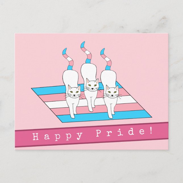 Happy Pride Katzen mit Transgender-Flag Postkarte (Vorderseite)