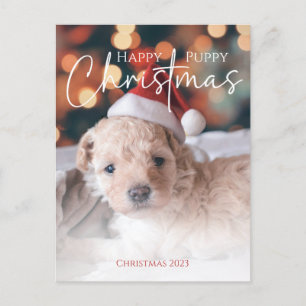 Happy Puppy Christmas Foto Postkarte