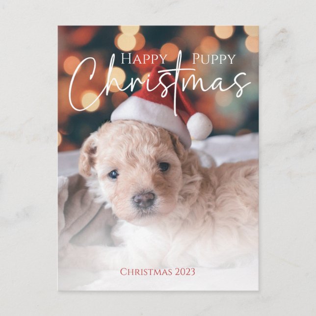 Happy Puppy Christmas Foto Postkarte (Vorderseite)