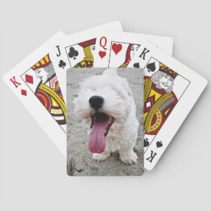 Happy Puppy white dog, malteese, maltipoo. Spielkarten