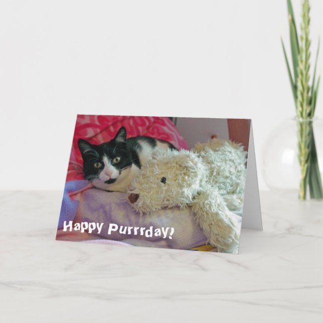 Happy Purrday Cat Card Karte (Vorderseite)