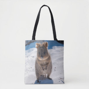 Happy Quokka am Strand Australien