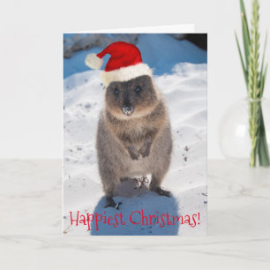 Happy Quokka Weihnachten & Neues Jahr Karte