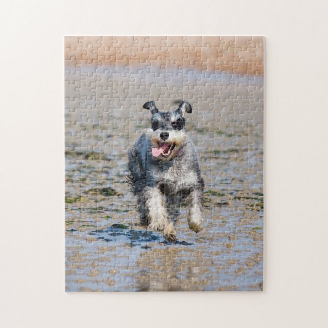 Happy Schnauzer auf Beach Jigsaw Puzzle (Vertikal)