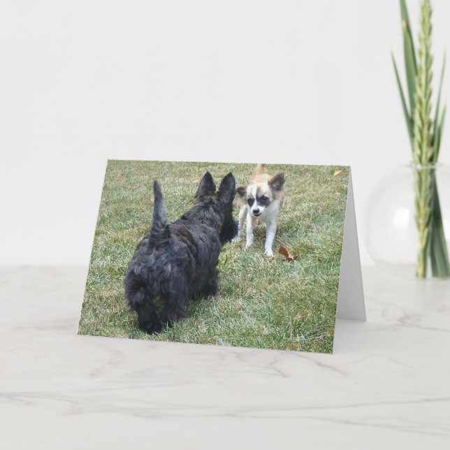 Happy Scottish Terrier & Friend Card Karte (Vorderseite)