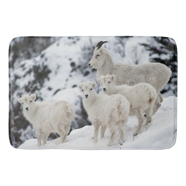 Happy Sheep Family Badematte (Vorderseite)
