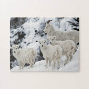 Happy Sheep Family Puzzle