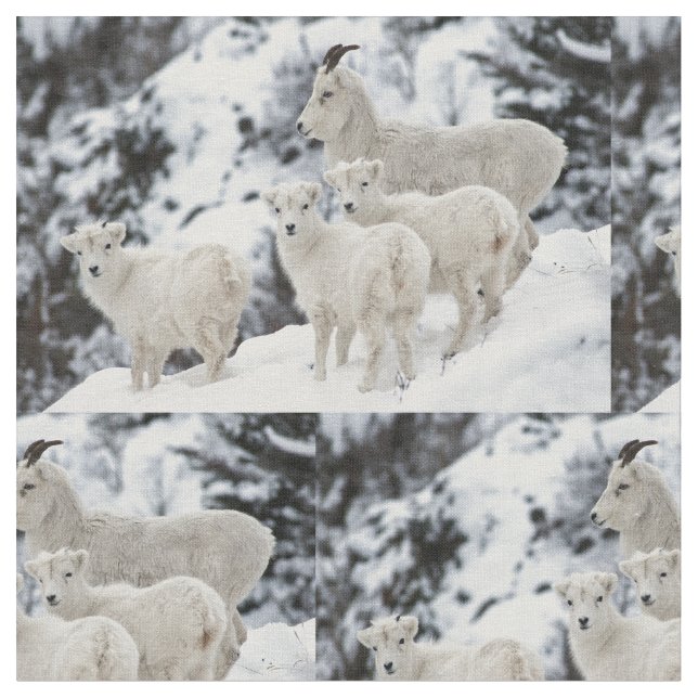 Happy Sheep Family Stoff (Nahaufnahme)