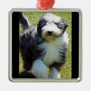 HAPPY SHEEPDOG CHRISTMAS ORNANATION SILBERNES ORNAMENT