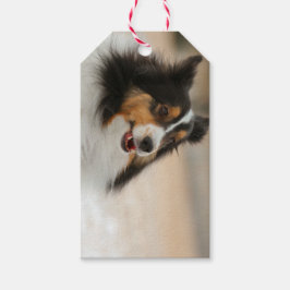 Happy Shelty Geschenkanhänger