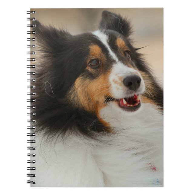 Happy Shelty Notizblock (Vorderseite)