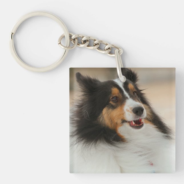 Happy Shelty Soccer Ball Schlüsselanhänger (Vorderseite)