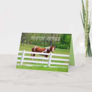 Happy Sisiebte Geburtstagskarte Paint Horse Card Karte
