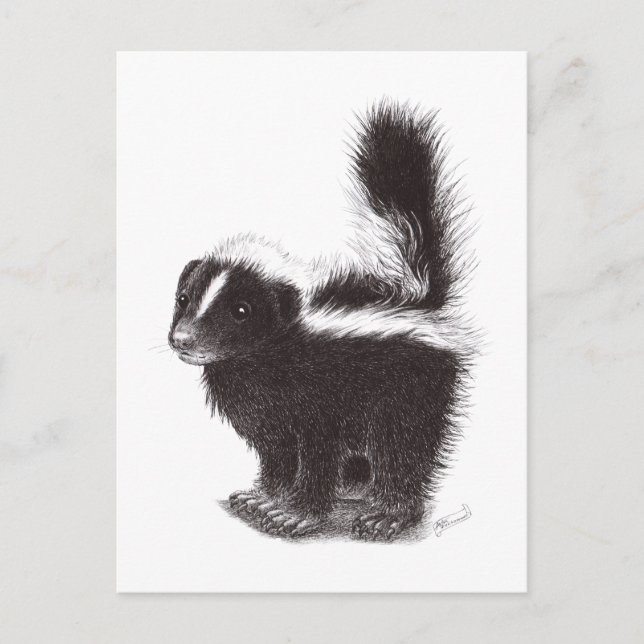 Happy Skunk Postkarte (Vorderseite)