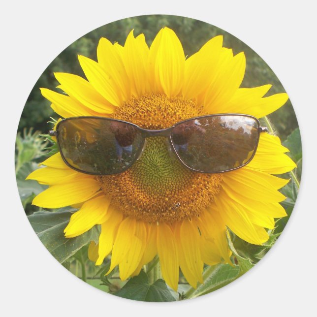 Happy Sonnenblume mit Sonnenbrille Aufkleber (Vorderseite)