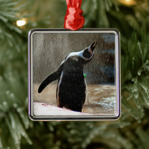 Happy Splashing Pinguin Gerahmt Metal Weihnachten Ornament Aus Metall