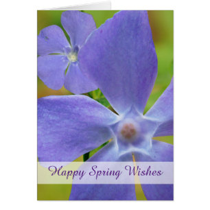 Happy Spring Blüte Vinca Lila Blüten