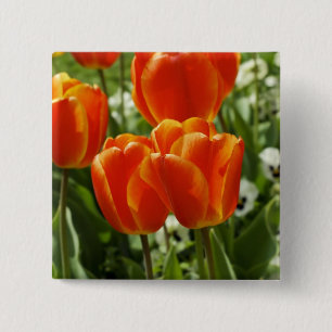 Happy Spring Button