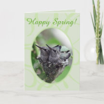 Happy Spring | Hummingvögel im Nest-Foto |
