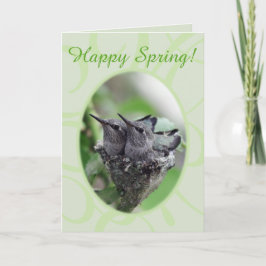 Happy Spring | Hummingvögel im Nest-Foto | Feiertagskarte