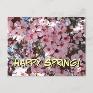Happy Spring Pink Blossoms Postkarte