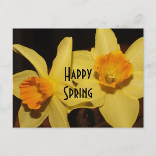 Happy Spring Postcard Postkarte