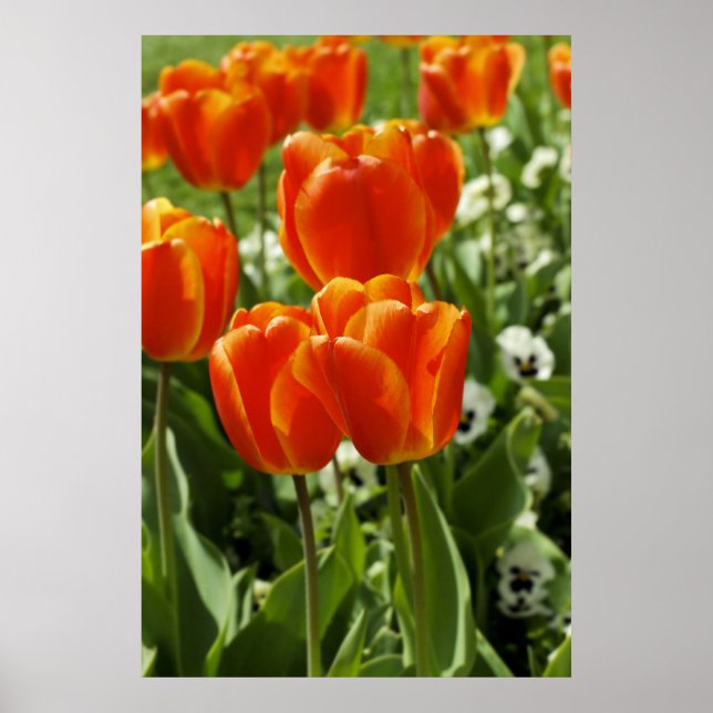 Happy Spring Print Poster (Vorne)