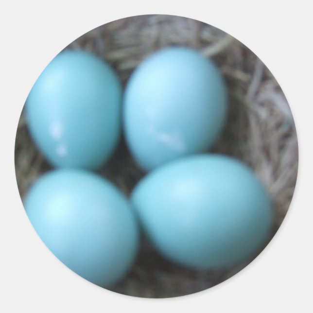 Happy Spring Robins Blue Eggs in Nest, Bird Eggs Runder Aufkleber (Vorderseite)