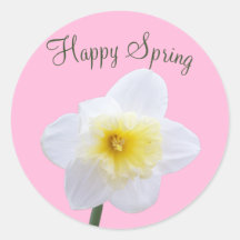 Happy Spring White Daffodil Blume Pink Sticker