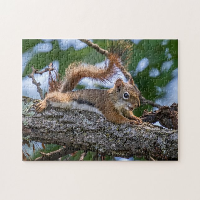 Happy Squirrel Puzzle (Horizontal)