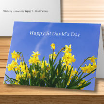 Happy St David’s Day Daffodils Welsh Greeting