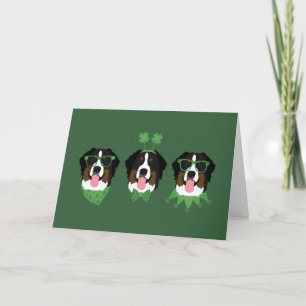 Happy St Patricks Day Bernese Mountain Hunde Feiertagskarte