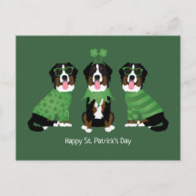 Happy St Patricks Day Bernese Mountain Hunde