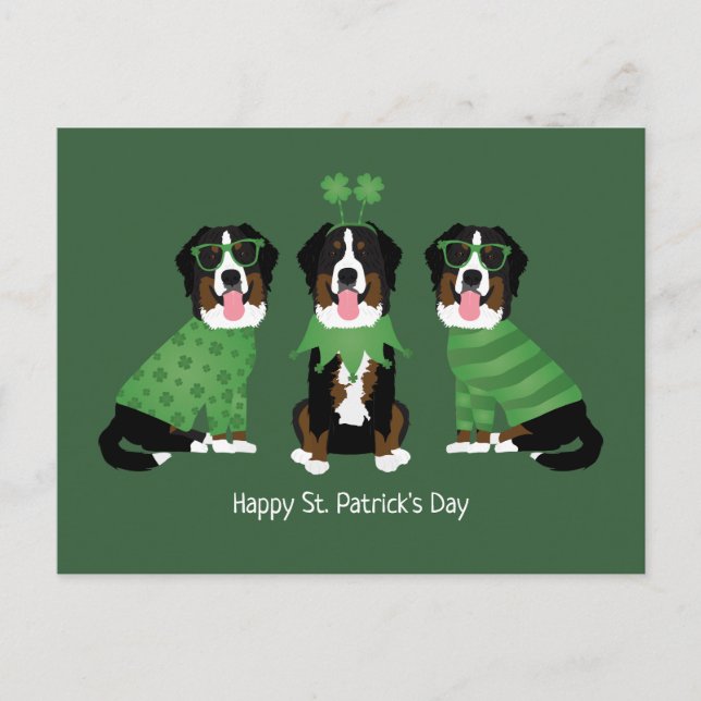Happy St Patricks Day Bernese Mountain Hunde Postkarte (Vorderseite)