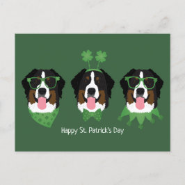 Happy St Patricks Day Bernese Mountain Hunde Postkarte