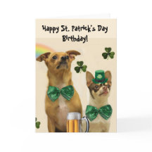 Happy St. Patrick's Day Birthday Chihuahua Hunde