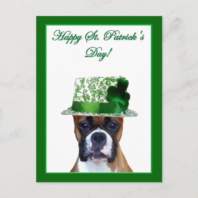 Happy St. Patrick's Day Boxer Postkarte (Vorderseite)