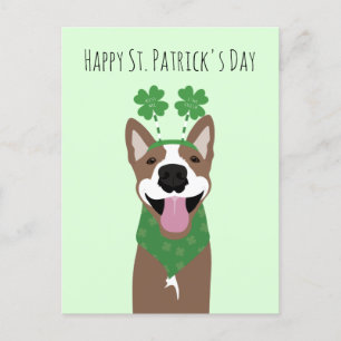 Happy St Patricks Day Brown Dog Green Postkarte