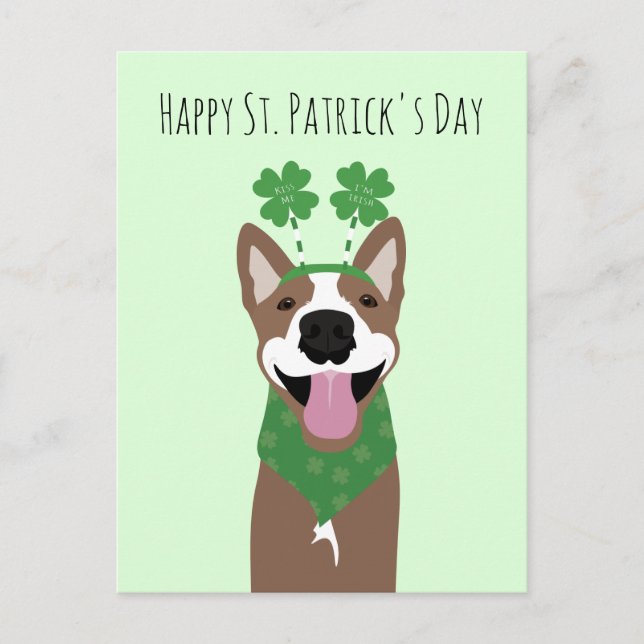 Happy St Patricks Day Brown Dog Green Postkarte (Vorderseite)