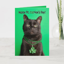 Happy St Patricks Day Cat in Kleeblatt Feiertagskarte
