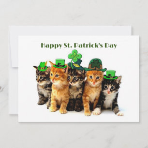 Happy St. Patrick's Day Cats Einladung