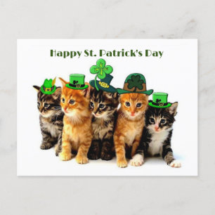 Happy St. Patrick's day cats postcard Postkarte