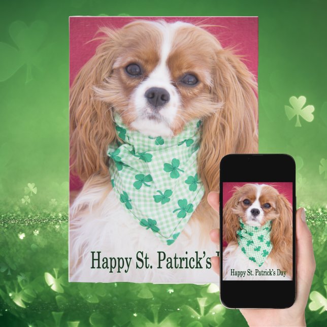 Happy St. Patrick's Day Cavalier King Charles Pup Karte (Von Creator hochgeladen)